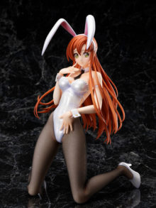 Shirley Fenette Bunny Ver. Code Geass: Lelouch of the Rebellion. B-style — изображение 4