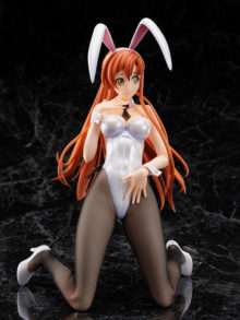 Shirley Fenette Bunny Ver. Code Geass: Lelouch of the Rebellion. B-style — изображение 5