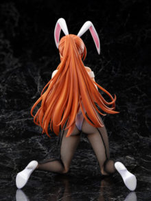 Shirley Fenette Bunny Ver. Code Geass: Lelouch of the Rebellion. B-style — изображение 7