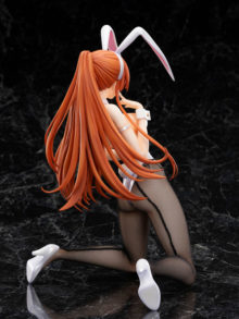 Shirley Fenette Bunny Ver. Code Geass: Lelouch of the Rebellion. B-style — изображение 8
