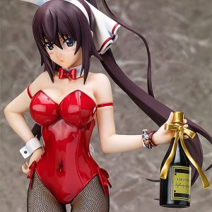 IS: Infinite Stratos - Shinonono Houki - B-style - 1/4 - Bunny ver. (FREEing)　
