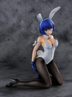 Ikki Tousen: Shuugaku Toushi Keppuuroku — Ryomou Shimei — 1/4 — Bunny ver.